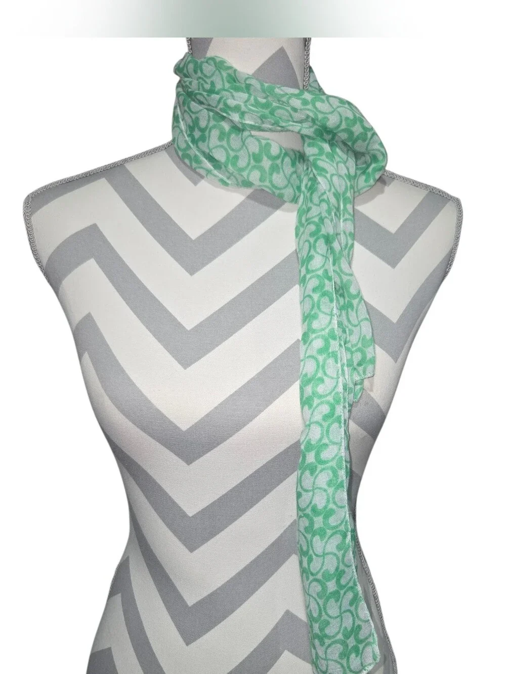 Light Mint Patterned Women's Scarf by